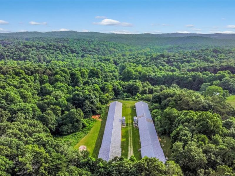 Successful Poultry Farm in North GA, Farm for Sale in 377670