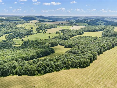 102 Acres in The Heart of Arkansas : Leslie : Van Buren County : Arkansas