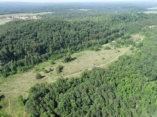 88 Acres, Creek, Fields, Hunt : Cleveland : Blount County : Alabama