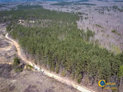 Tull Road Tract : Bolivar : Hardeman County : Tennessee