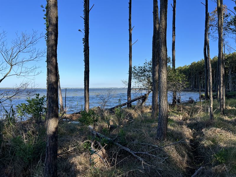 Unrestricted Land in Scranton, NC, Farm for Sale in North Carolina