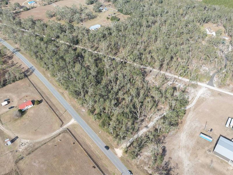 Acreage No Deed Restrictions, Farm for Sale in Florida, 378738 FARMFLIP