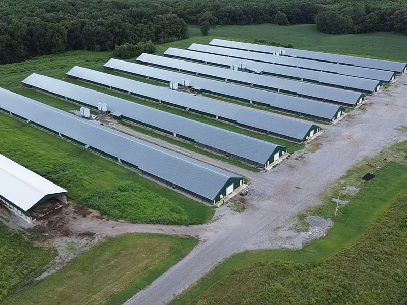 8 House Broiler Chicken Farm : Greenfield : Weakley County : Tennessee