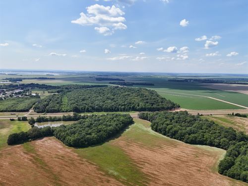 51.3 Acres Of Farmland In Leflore : Itta Bena : Leflore County : Mississippi