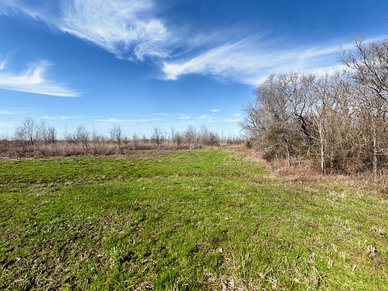 Highway 585 : Oak Grove : West Carroll Parish : Louisiana