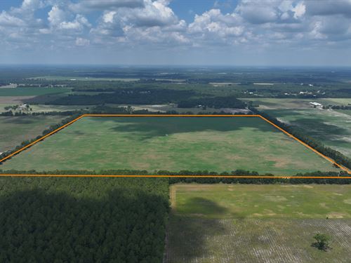 Suwannee County Quarter Sectionfarm : O'brien : Suwannee County : Florida