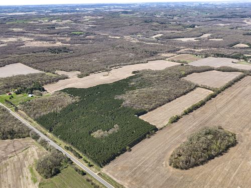 180 Acres Eau Claire County : Eleva : Eau Claire County : Wisconsin