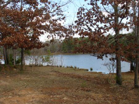40 Acres Of Heaven : Letohatchee : Lowndes County : Alabama