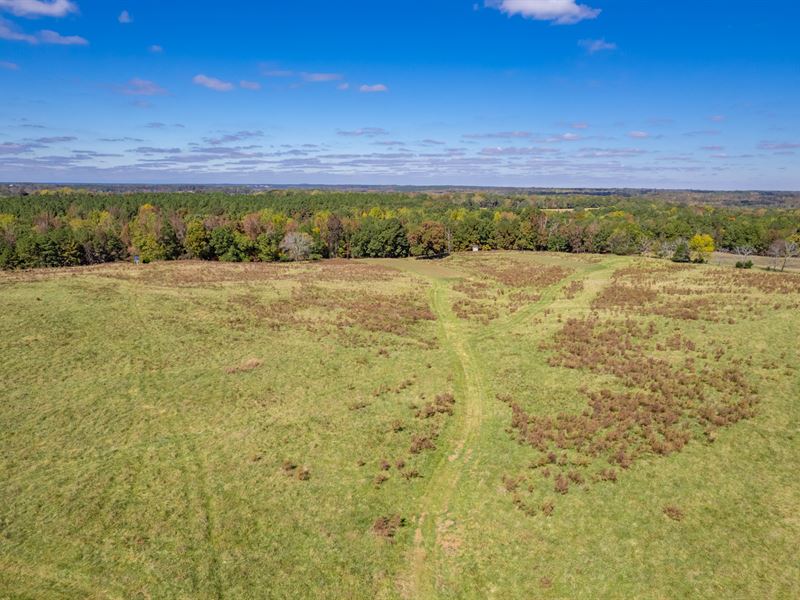 Estate Lots in Madison, GA : Madison : Morgan County : Georgia