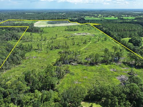 Graceville Longview Farm : Graceville : Jackson County : Florida