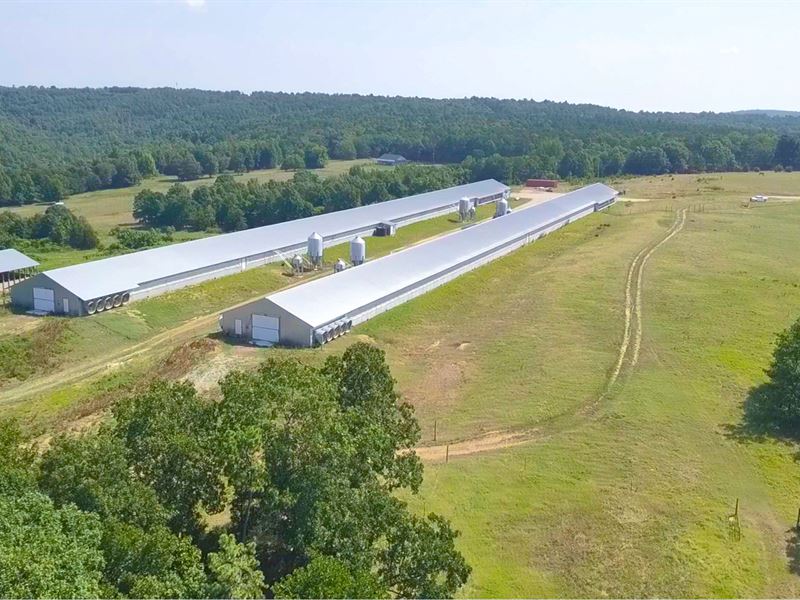 Poultry Farms for Sale, Breeder : Fox : Stone County : Arkansas