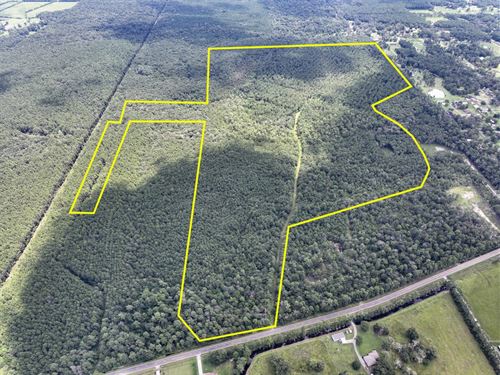 545 Acres FM 1136 : Orange : Texas