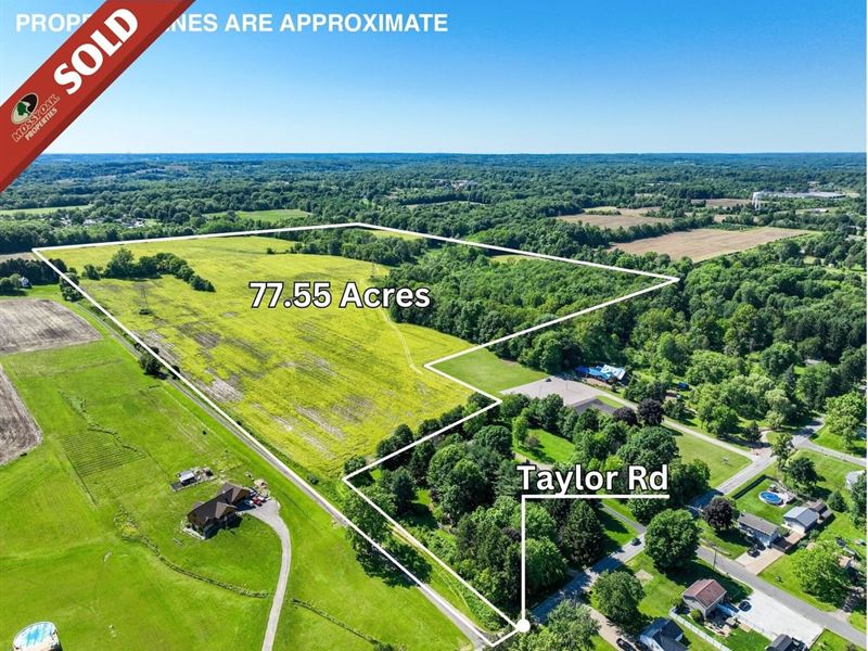Taylor Rd, 77 Acres, Wayne County : Doylestown : Wayne County : Ohio