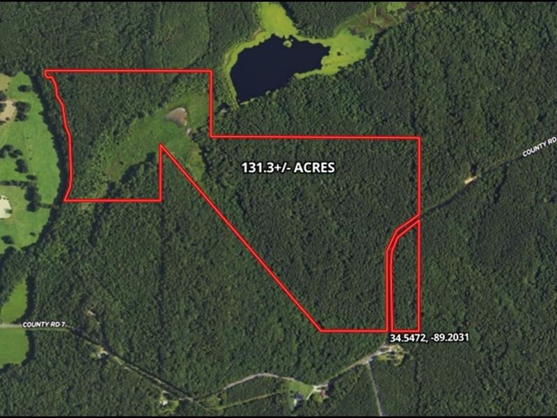 131.3 Acres in Union County in Hick : Hickory Flat : Union County : Mississippi