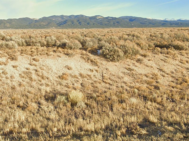Own 5 Acres of Paradise : San Luis : Costilla County : Colorado