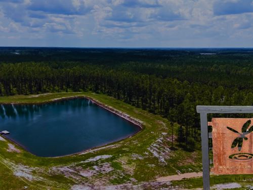 Brandy Branch Lot 2 : Bryceville : Nassau County : Florida