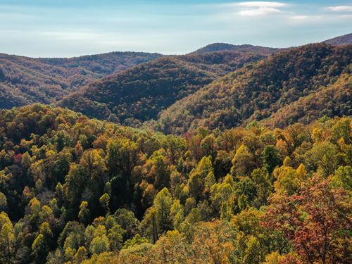 East Fork Mountaintop : Sylva : Jackson County : North Carolina