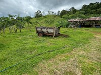 Spectacular and Beautiful Farm : Costa Rica