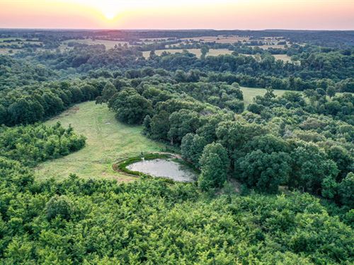 Lennox Mountain 230 : Seligman : Barry County : Missouri