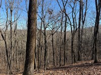 Turkey Haven Mountain, Lot 1 : Heflin : Cleburne County : Alabama