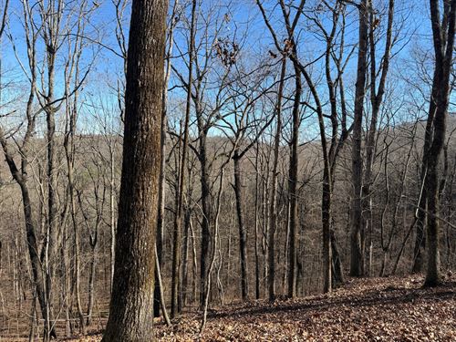 Turkey Haven Mountain, Lot 1 : Heflin : Cleburne County : Alabama