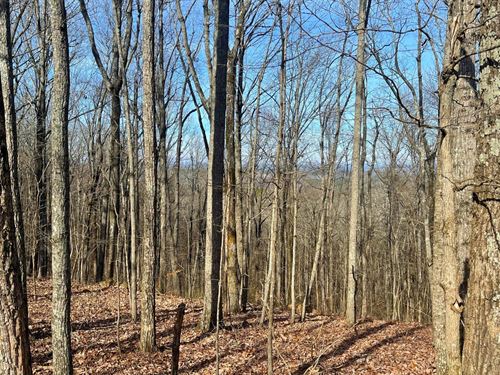 Turkey Haven Mountain, Lot 1 : Heflin : Cleburne County : Alabama