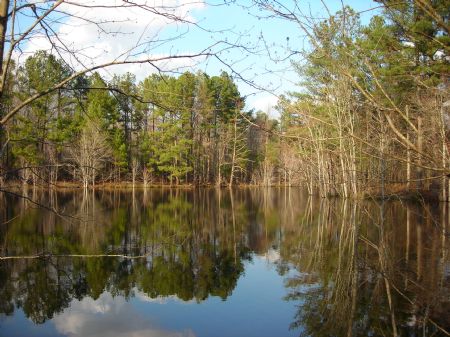 176 Acre Hunting Tract with Pond : Union Point : Oglethorpe County : Georgia