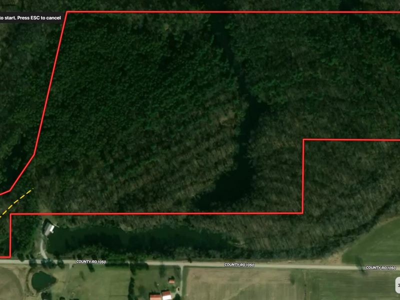 Land for Sale in Clay County, IN 46 : Clay City : Clay County : Indiana