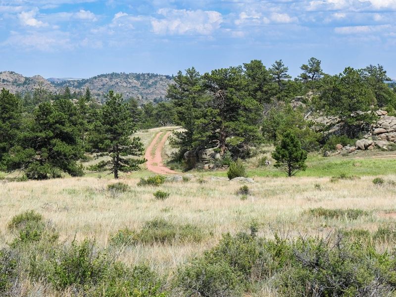 Mask Ranch 99 : Livermore : Larimer County : Colorado