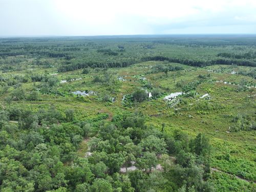 Camden Satilla River Tract : White Oak : Camden County : Georgia