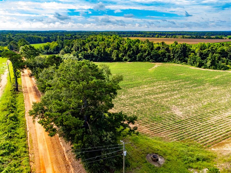 Rocky Creek Farms Lot B 7.7 ac : Ashford : Houston County : Alabama