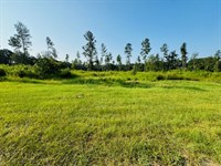 11 Acres Located in Warnerton, LA : Franklinton : Washington Parish : Louisiana