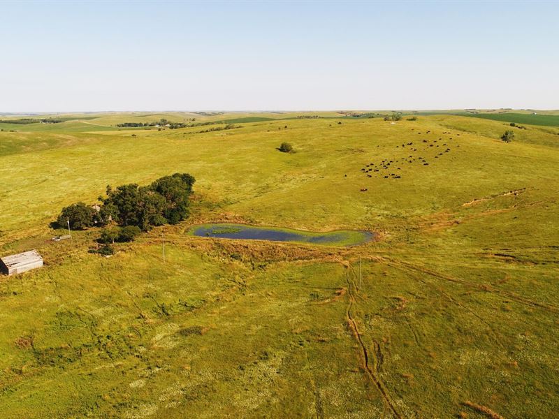 482 Acres, Greeley County, Thayer : Greeley : Greeley County : Nebraska