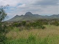 Unleash Your Oddball-Genius in TX : Van Horn : Culberson County : Texas