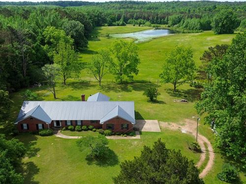 Webster County, 167 Acres, Hays : Eupora : Webster County : Mississippi