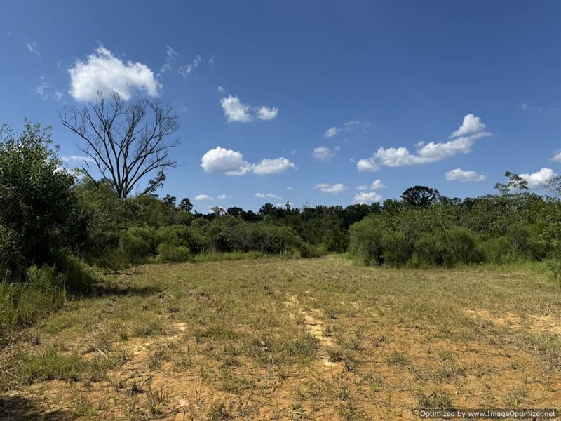 River Frontage Property & Hunting : Brookhaven : Lincoln County : Mississippi