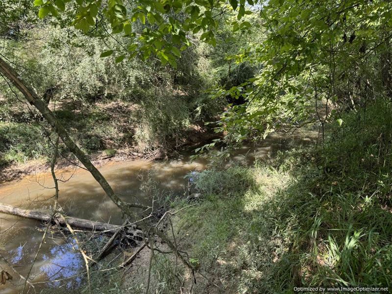 River Frontage Property & Hunting, Farm for Sale in Mississippi