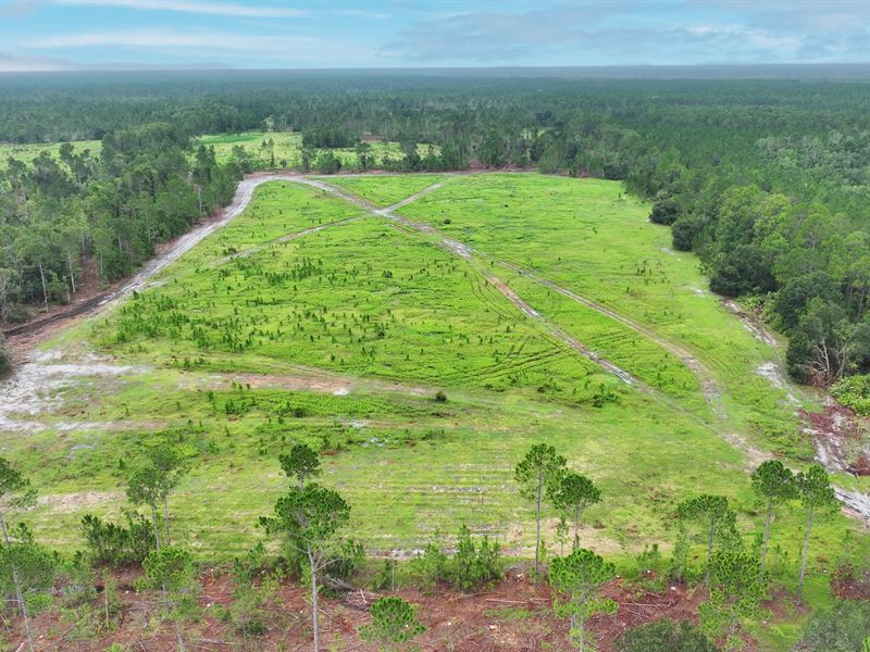 Flagler County Invest & Rec Tract : Bunnell : Flagler County : Florida