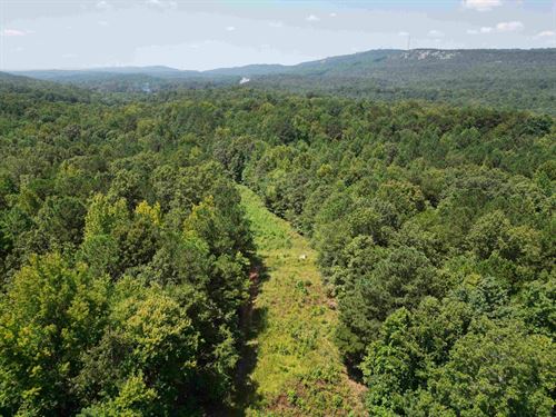 Rural Homesites & Hunting : Chulavista : Saint Clair County : Alabama