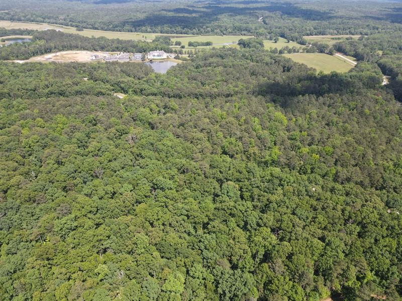 713.08 Acres, Chattahoochee Meadow : Douglasville : Douglas County : Georgia