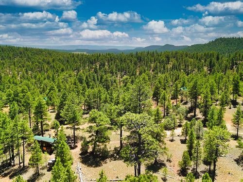 3 Cabins Bordering National Forest : Grants : Cibola County : New Mexico