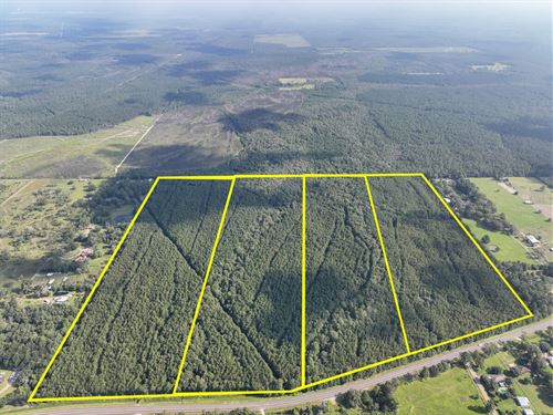 39 Acres, T-1 FM 2802 287077 : Vidor : Orange County : Texas