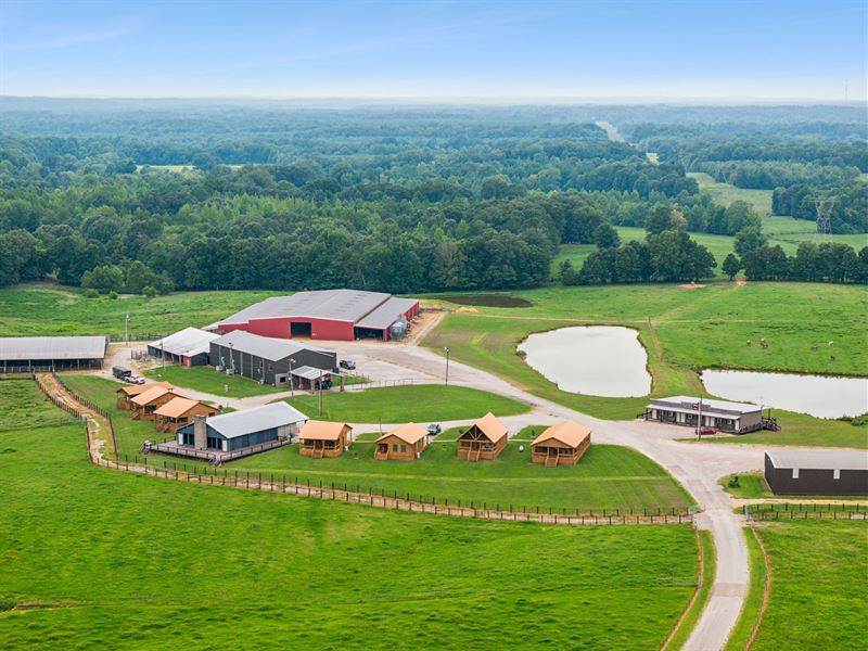 564 Acre Cattle Ranch Event Venue : Michie : McNairy County : Tennessee
