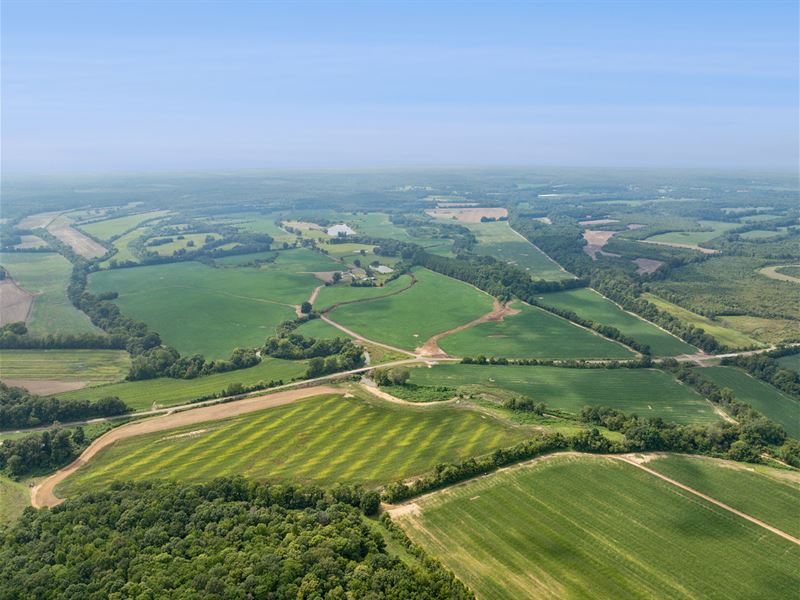 348 Acre Prime Farmland & Farmhouse : Selmer : McNairy County : Tennessee