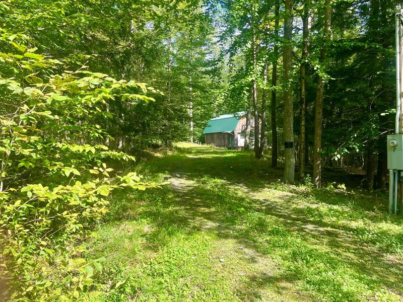 Potter County, Bradford 5.9 Acres, Farm for Sale in Pennsylvania