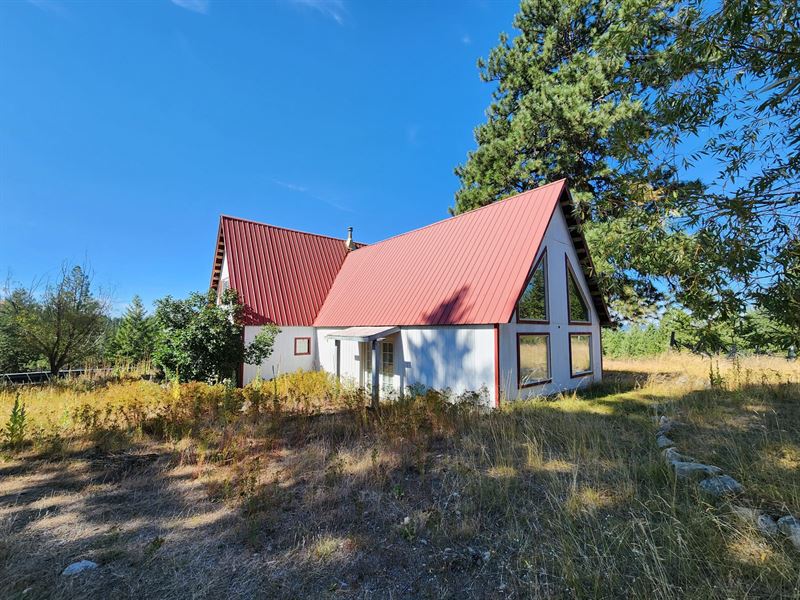 160 Acre National Forest Sanctuary : Curlew : Ferry County : Washington