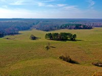 521 Acre Cattle Farm in Hardin Coun : Savannah : Hardin County : Tennessee