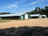 MS Poultry Broiler Farm With House : Summit : Pike County : Mississippi
