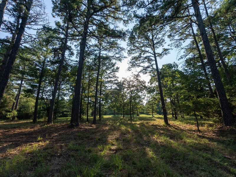 Double A Ranch : Wilburton : Latimer County : Oklahoma