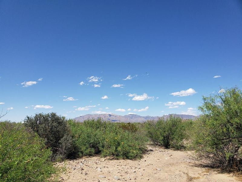 Southeast Hudspeth County River : Van Horn : Hudspeth County : Texas